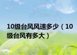 10級臺風(fēng)風(fēng)速多少（10級臺風(fēng)有多大）