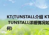 KT(TUNSTALL介紹 KT TUNSTALL詳細(xì)情況如何)