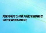 淘寶購(gòu)物怎么付錢介紹(淘寶購(gòu)物怎么付錢詳細(xì)情況如何)