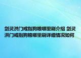 劍靈洪門戒指狗糧哪里刷介紹 劍靈洪門戒指狗糧哪里刷詳細情況如何