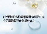 5個(gè)手指的名稱(chēng)分別是什么樣的（5個(gè)手指的名稱(chēng)分別是什么）