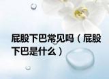 屁股下巴常見(jiàn)嗎（屁股下巴是什么）