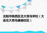 沈陽(yáng)市鐵西區(qū)北大青鳥(niǎo)學(xué)校（大連北大青鳥(niǎo)鑫鼎校區(qū)）
