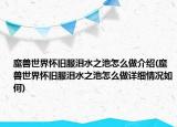 魔獸世界懷舊服淚水之池怎么做介紹(魔獸世界懷舊服淚水之池怎么做詳細情況如何)