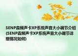 SENP森頻聲卡XP系統(tǒng)聲音大小調(diào)節(jié)介紹(SENP森頻聲卡XP系統(tǒng)聲音大小調(diào)節(jié)詳細情況如何)