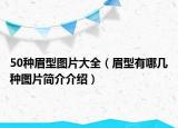 50種眉型圖片大全（眉型有哪幾種圖片簡介介紹）