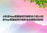小肚皮App里面如何開始職業(yè)介紹(小肚皮App里面如何開始職業(yè)詳細情況如何)