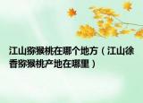 江山獼猴桃在哪個(gè)地方（江山徐香獼猴桃產(chǎn)地在哪里）