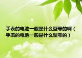 手表的電池一般是什么型號的?。ㄊ直淼碾姵匾话闶鞘裁葱吞柕模? /></span></a>
                        <h2><a href=
