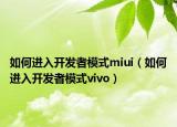 如何進入開發(fā)者模式miui（如何進入開發(fā)者模式vivo）