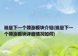 誰是下一個領(lǐng)漲板塊介紹(誰是下一個領(lǐng)漲板塊詳細(xì)情況如何)