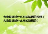 大象是通過(guò)什么方式防曬的視頻（大象是通過(guò)什么方式防曬的）