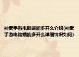 神武手游電腦端能多開么介紹(神武手游電腦端能多開么詳細情況如何)