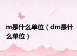 m是什么單位（dm是什么單位）