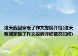 這天我回家晚了作文提綱介紹(這天我回家晚了作文提綱詳細(xì)情況如何)