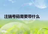 注銷號碼需要帶什么