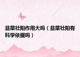 韭菜壯陽作用大嗎（韭菜壯陽有科學依據(jù)嗎）