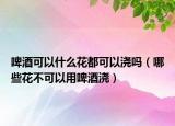 啤酒可以什么花都可以澆嗎（哪些花不可以用啤酒澆）