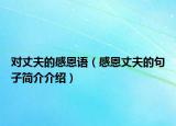 對丈夫的感恩語（感恩丈夫的句子簡介介紹）