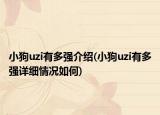 小狗uzi有多強介紹(小狗uzi有多強詳細情況如何)