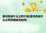 愛鴻森是什么公司介紹(愛鴻森是什么公司詳細(xì)情況如何)