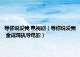 等你說愛我 電視劇（等你說愛我 金成鴻執(zhí)導(dǎo)電影）