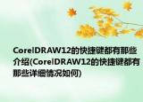 CorelDRAW12的快捷鍵都有那些介紹(CorelDRAW12的快捷鍵都有那些詳細(xì)情況如何)