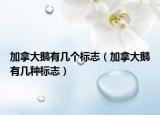 加拿大鵝有幾個標志（加拿大鵝有幾種標志）