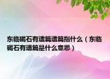 東臨碣石有遺篇遺篇指什么（東臨碣石有遺篇是什么意思）