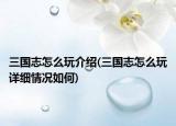 三國(guó)志怎么玩介紹(三國(guó)志怎么玩詳細(xì)情況如何)