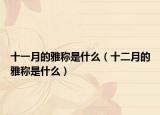 十一月的雅稱(chēng)是什么（十二月的雅稱(chēng)是什么）