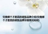究竟哪個(gè)才是真的袋鼠品牌介紹(究竟哪個(gè)才是真的袋鼠品牌詳細(xì)情況如何)