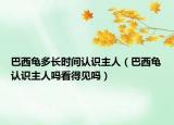 巴西龜多長時(shí)間認(rèn)識(shí)主人（巴西龜認(rèn)識(shí)主人嗎看得見嗎）