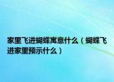 家里飛進蝴蝶寓意什么（蝴蝶飛進家里預(yù)示什么）