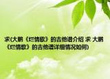 求(大鵬《爛情歌》的吉他譜介紹 求 大鵬《爛情歌》的吉他譜詳細(xì)情況如何)