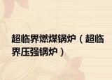 超臨界燃煤鍋爐（超臨界壓強鍋爐）