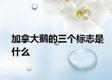 加拿大鵝的三個標志是什么