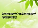 如何畫眼睫毛介紹(如何畫眼睫毛詳細情況如何)