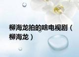 柳海龍拍的啥電視劇（柳海龍）