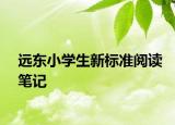 遠(yuǎn)東小學(xué)生新標(biāo)準(zhǔn)閱讀筆記