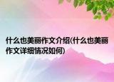 什么也美麗作文介紹(什么也美麗作文詳細(xì)情況如何)