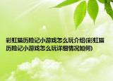 彩虹貓歷險記小游戲怎么玩介紹(彩虹貓歷險記小游戲怎么玩詳細(xì)情況如何)