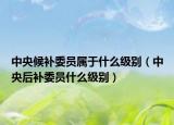 中央候補(bǔ)委員屬于什么級(jí)別（中央后補(bǔ)委員什么級(jí)別）