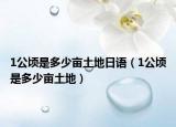 1公頃是多少畝土地日語(yǔ)（1公頃是多少畝土地）