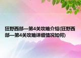 狂野西部—第4關攻略介紹(狂野西部—第4關攻略詳細情況如何)