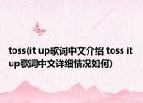 toss(it up歌詞中文介紹 toss it up歌詞中文詳細情況如何)