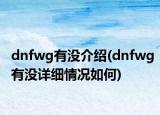 dnfwg有沒(méi)介紹(dnfwg有沒(méi)詳細(xì)情況如何)