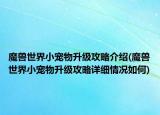 魔獸世界小寵物升級攻略介紹(魔獸世界小寵物升級攻略詳細情況如何)