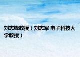 劉志鋒教授（劉志軍 電子科技大學(xué)教授）