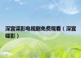 深宮諜影電視劇免費(fèi)觀看（深宮碟影）